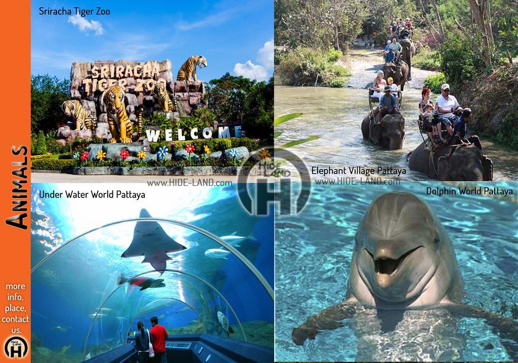 Hideland - The Luxury Tropical Villa Pattaya Luaran gambar
